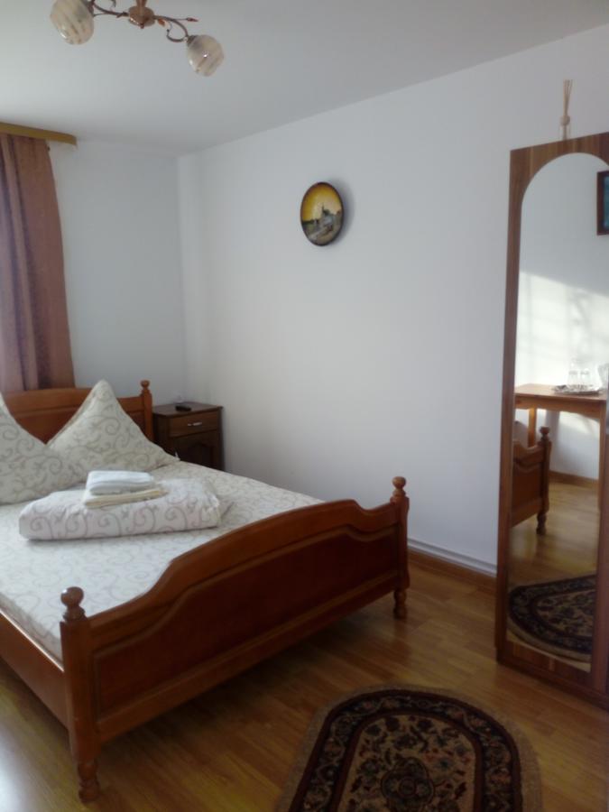 Casa Nicoleta Gura Humorului